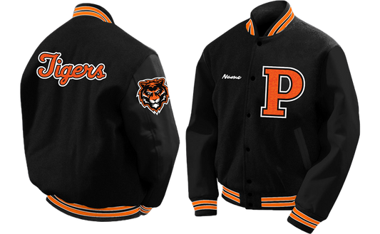 THE PROMISE CAREER INSTITUTE